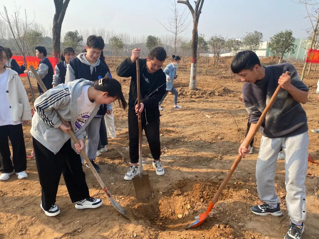 关于植树节的照片图片