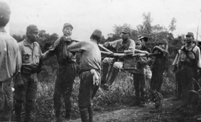 科科达小径战役,二战最残酷的丛林战,扭转太平洋战争的局势