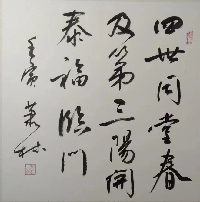 中国书法家协会会员萧林老师作品欣赏