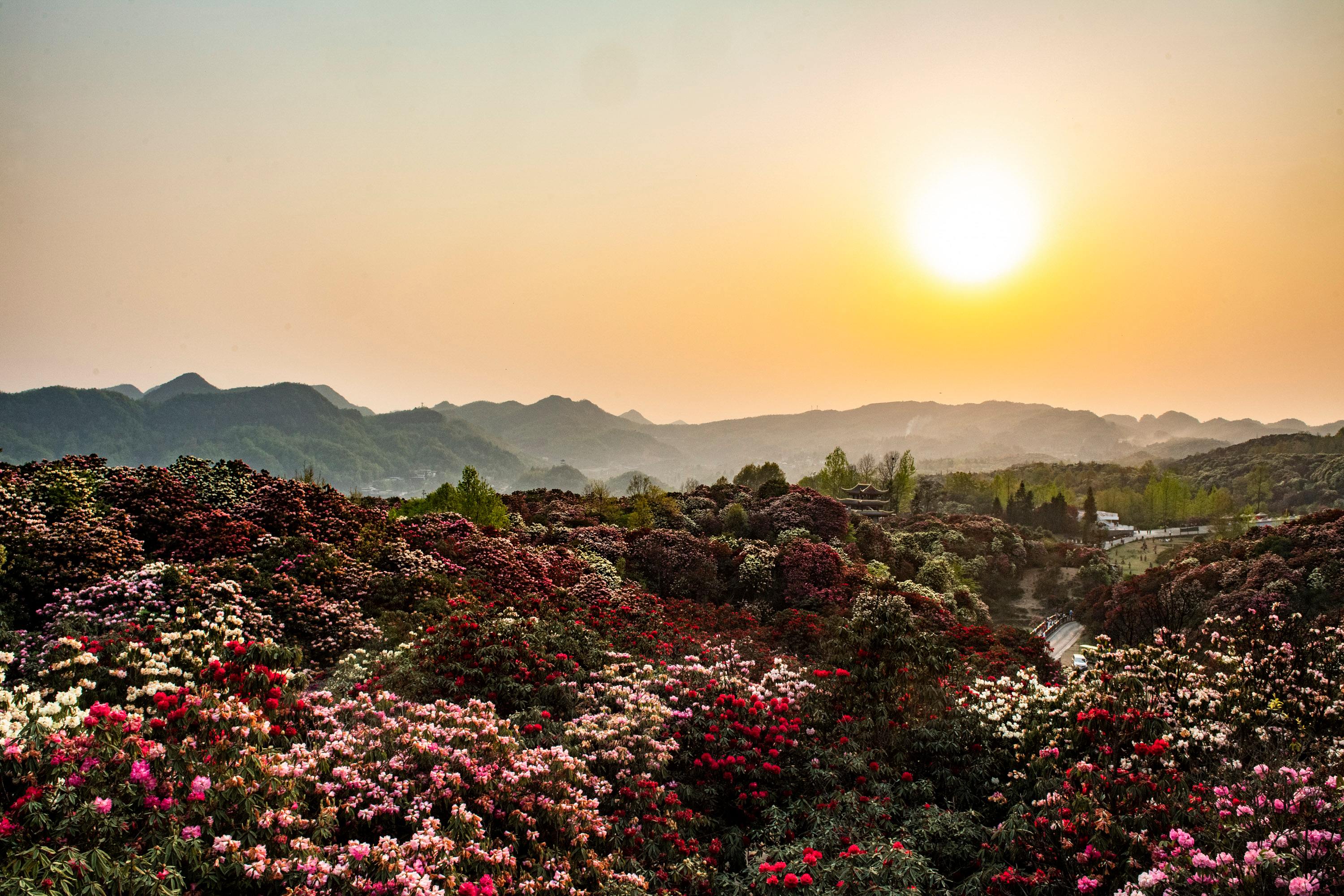 贵州新义县旅游景点