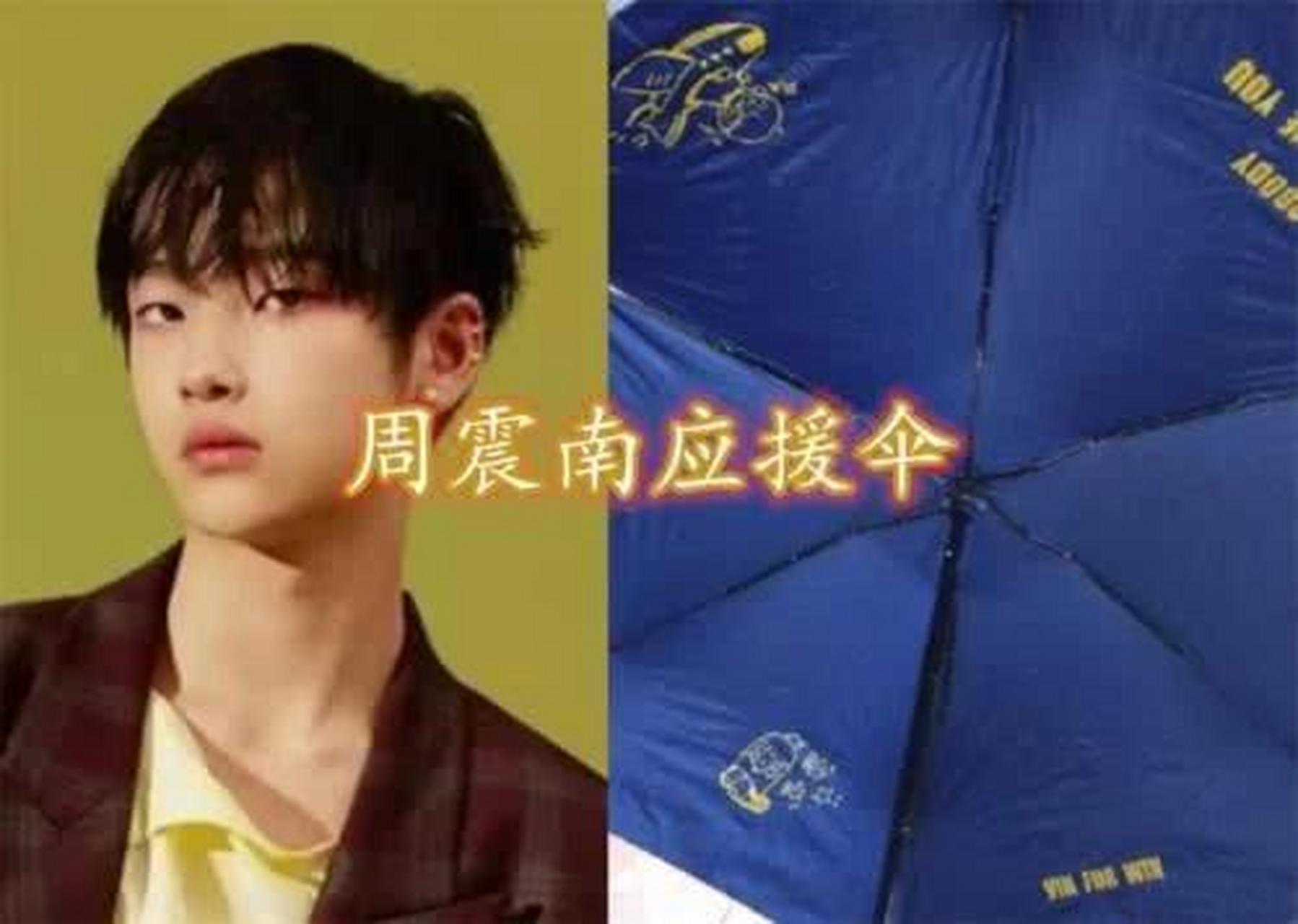 原创 周震南应援伞,鹿晗应援伞,王俊凯应援伞,看到千玺应援伞:舍得合