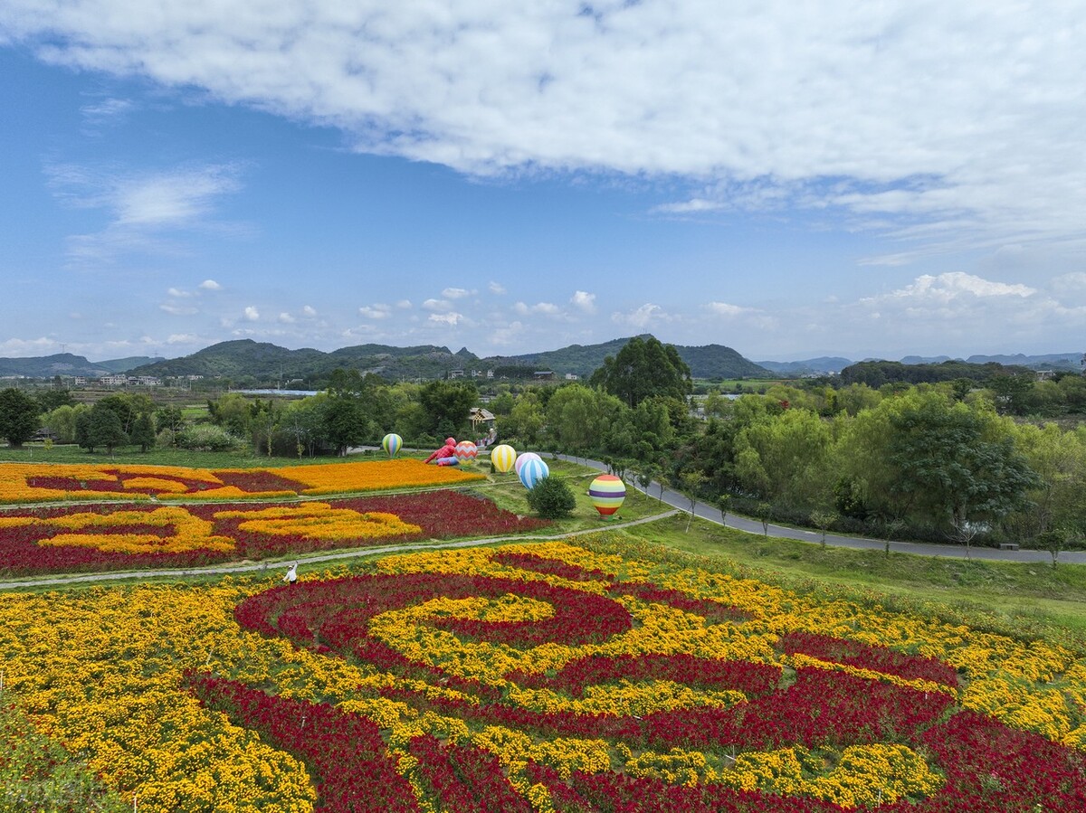 富川花海图片