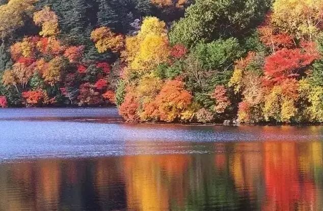 1v1多h高辣，1v1 多 h 高辣剧情深夜上线引爆全网热议，三对主角情感纠葛令人揪心，评论区瞬间沸腾引发万人讨论，平台热度飙升再创新高。