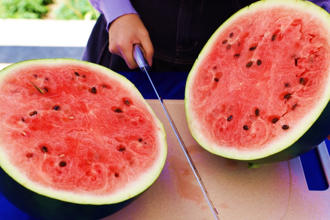 黑水瓜农种出需2人抬得动"太空西瓜",甜度高,梦中情果