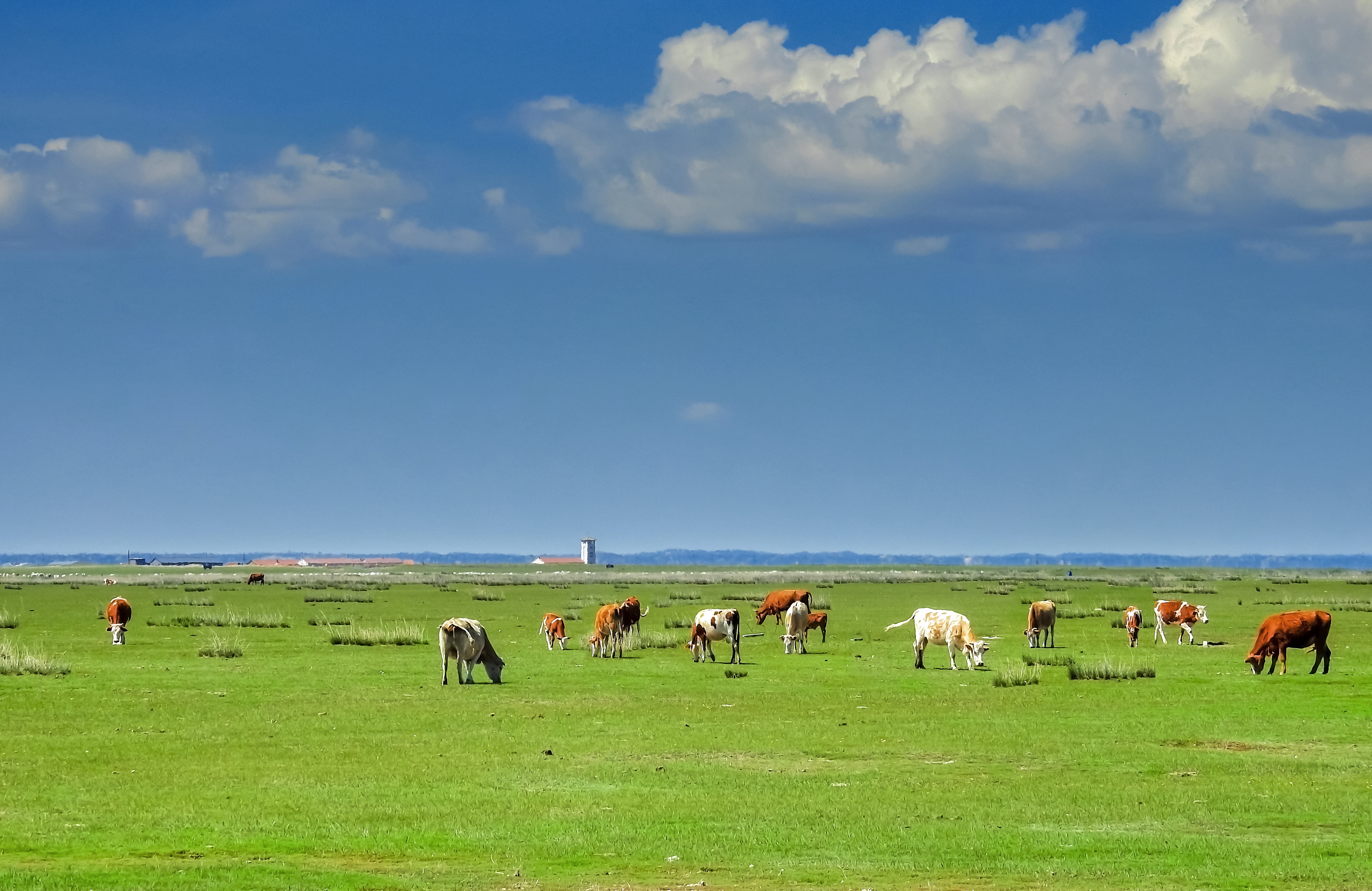 内蒙草原天路一日游攻略:达达线——热阿线