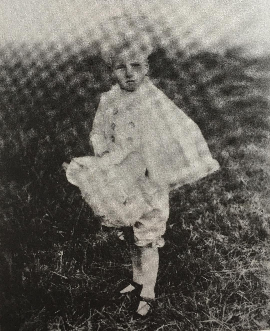 奥斯特利茨:扛着历史的十字架在迷雾中前行