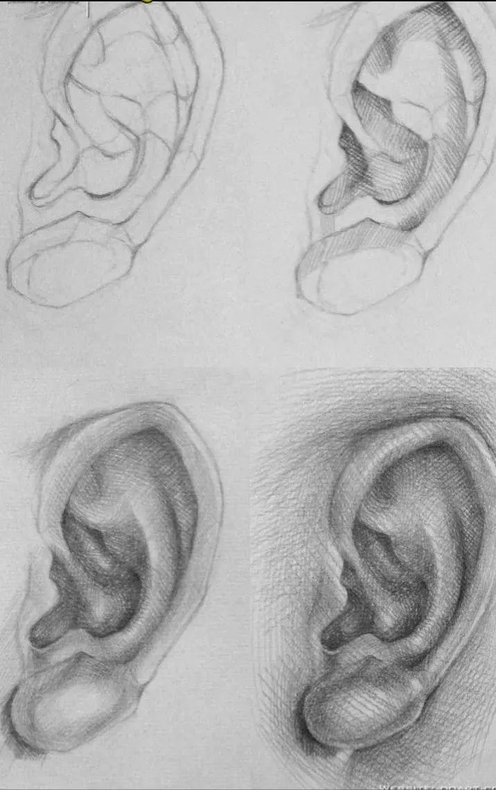 「大师练成记」人物五官素描图文详解,建议收藏