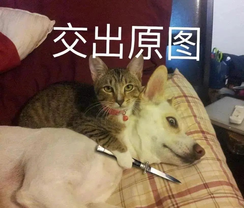 哥哥 你逃不掉辣