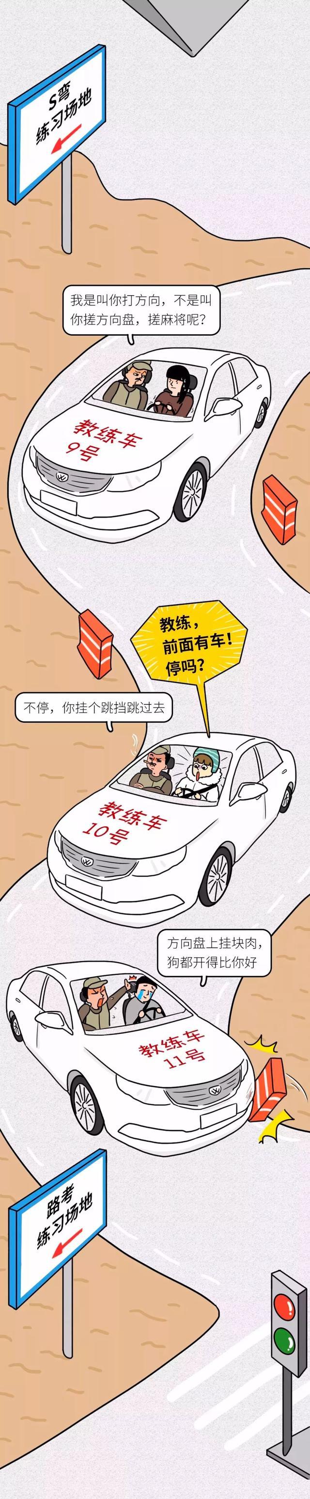 陨落在驾校里的段子手,你都听过哪些经典语录呢?网友:花钱受虐