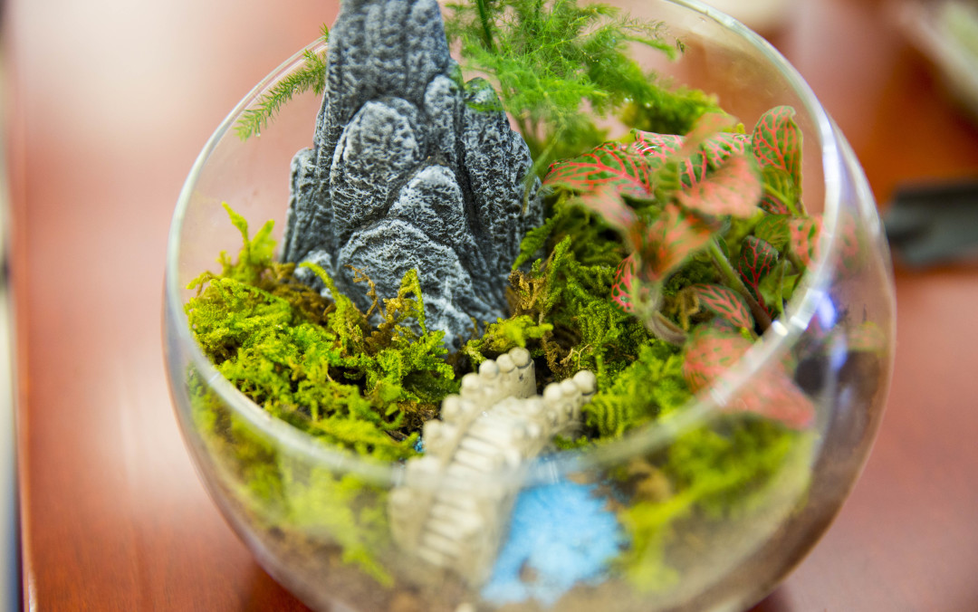 以生态感悟生命 北京sos儿童村园博馆研学之旅