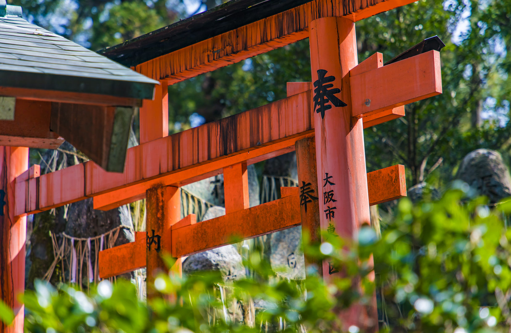 日本最惊艳的景点,京都千本鸟居,上万座红色鸟居连结成时光隧道