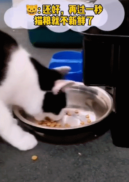 438_617竖版 竖屏gif 动态图 动图