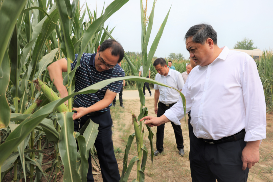 李云川调研抗旱保收工作