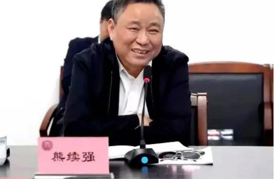 宁波前首富熊续强败退银亿股份