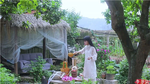 李子柒的小院,真美