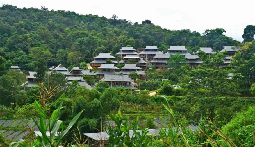 西双版纳勐腊县,户籍人口庞大,号称"动植物王国"