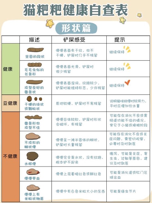 幼猫正常便便图片图解图片