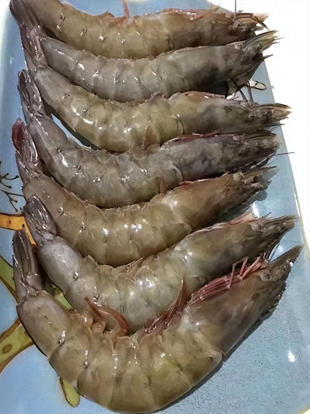 中国早有布局!新疆沙漠中长出"深海大虾",让日本猝不及防!