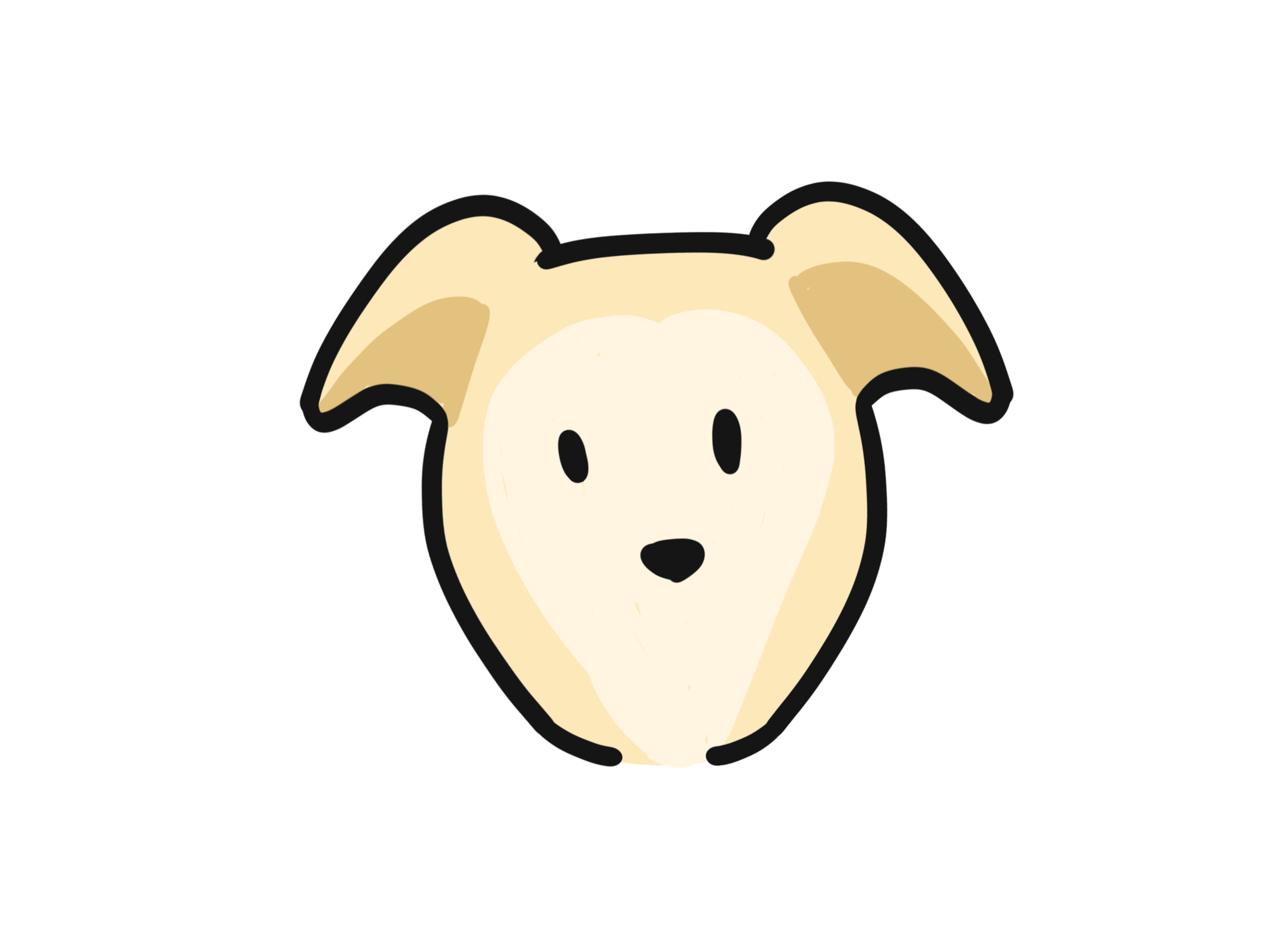 狗狗常见的10种"耳朵",你家狗是哪一种呢?