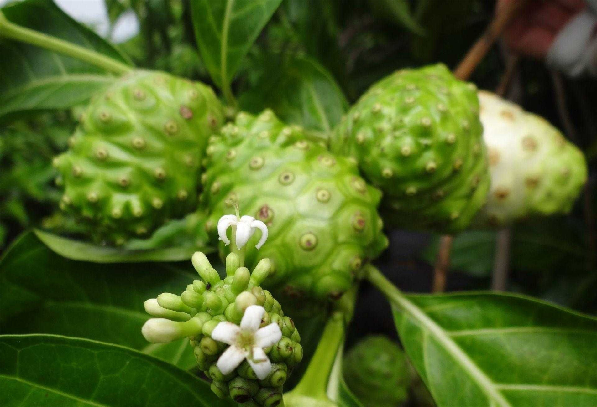 女性养生,推荐多吃三种食物,排毒养颜,身体棒棒哒