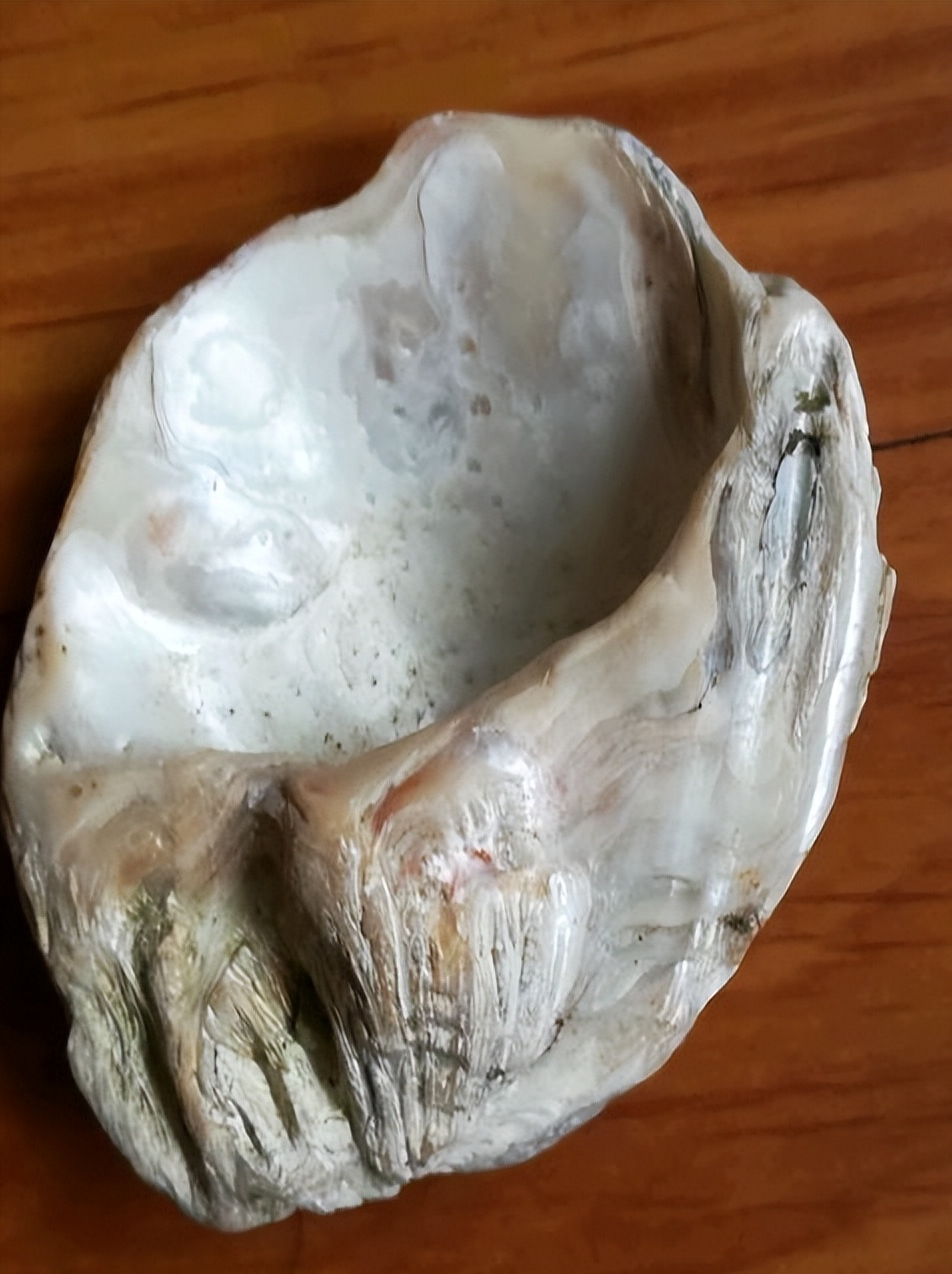 姑娘在河边寻宝,突然发现一只眼睛,仔细看竟是贝壳化石