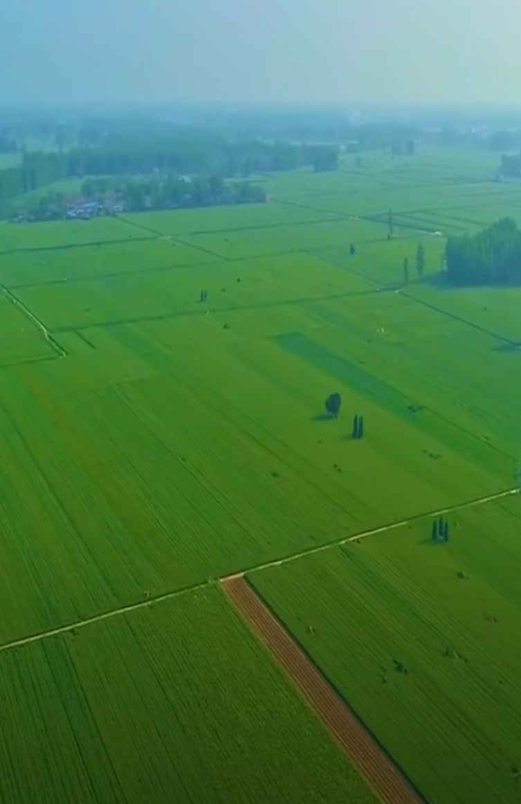 河南一望无际大平原.没有山看着好压抑,像在大海中一样压抑