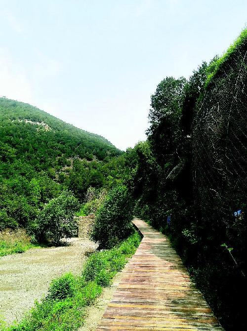 太原窑头村景区图片