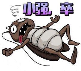 九成人不知"蟑螂天敌"是啥:教你简单一招,蟑螂"消失"了