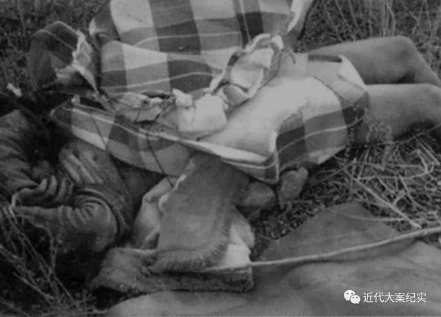 大案纪实——发生在密林深处的罪恶:甘肃省子午岭12·25特大抢劫,强奸