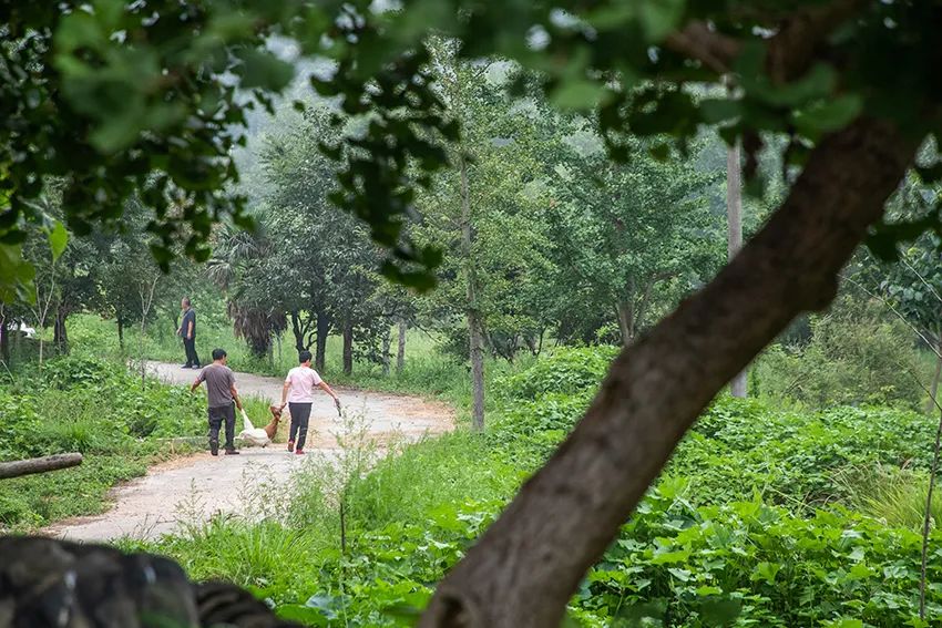 信阳罗山县:鸡笼山豫风楚韵浓,土房变民宿游客盈门