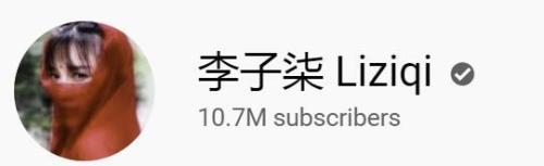 推荐李子柒视频被越南人剽窃，不注明来源还配上越南语！外网友误会了