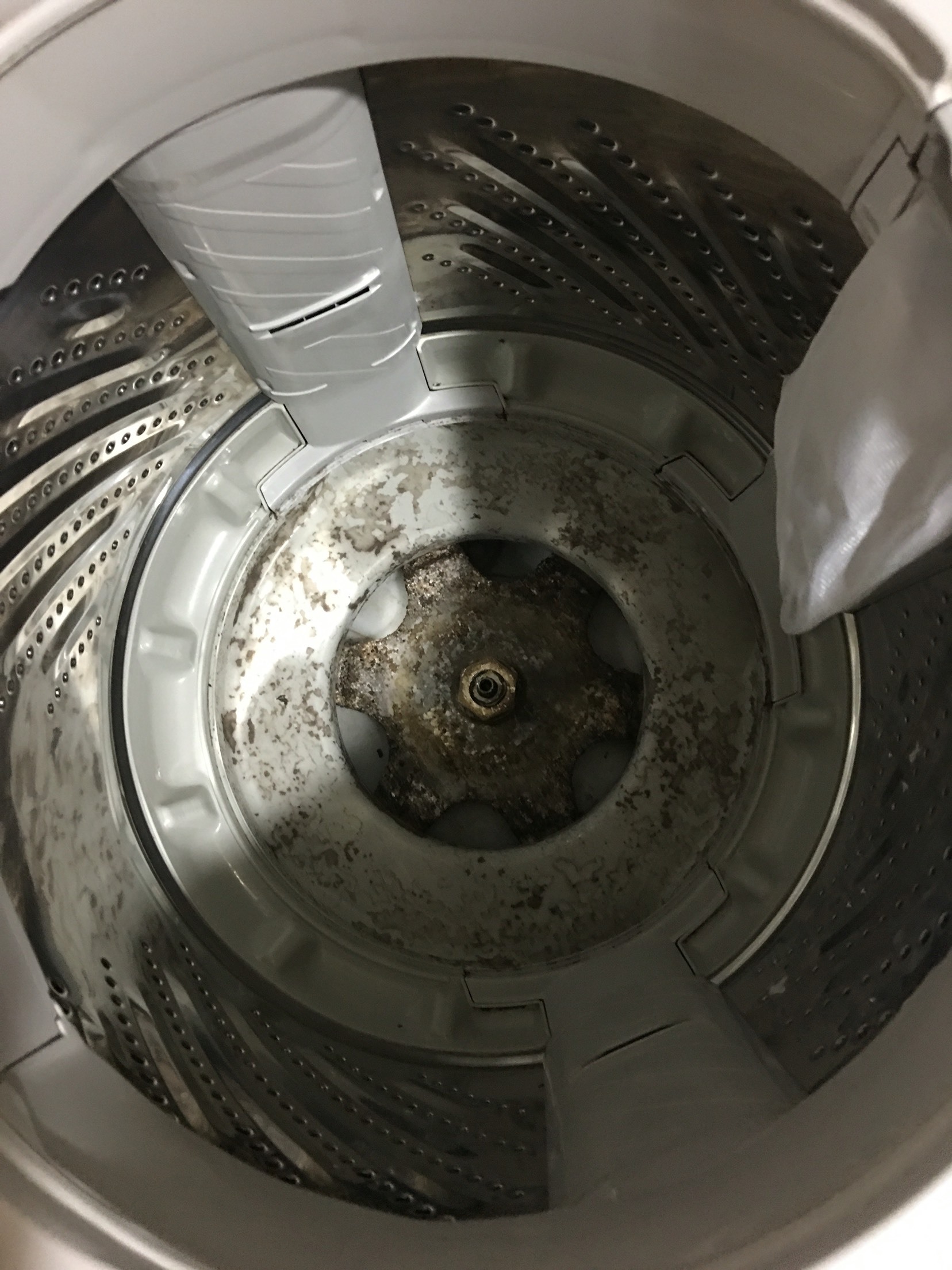 洗衣机内部比马桶还脏?教你一招,自己在家也能清洗