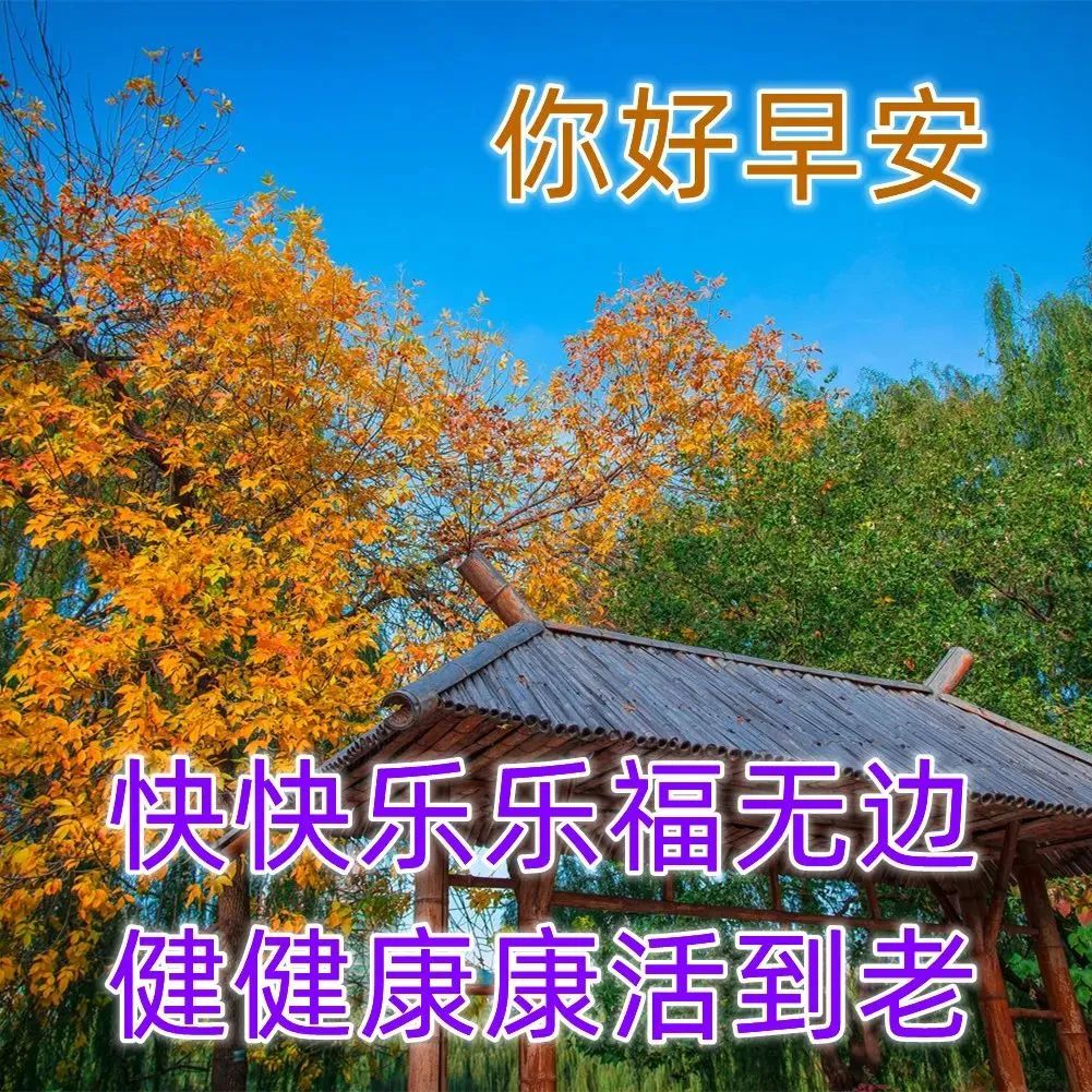 周一特好看的早安问候图片