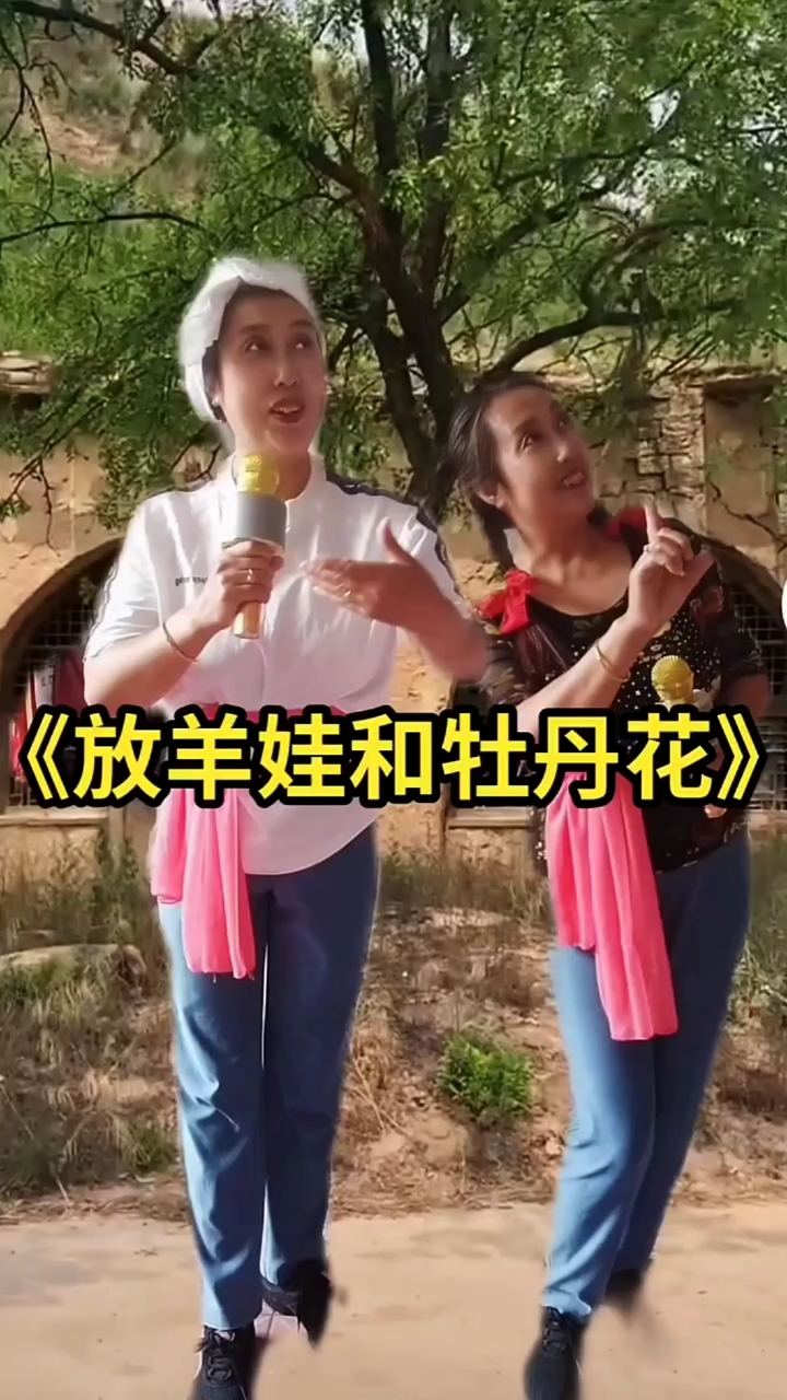 放羊娃和牡丹花这首歌太好听啦