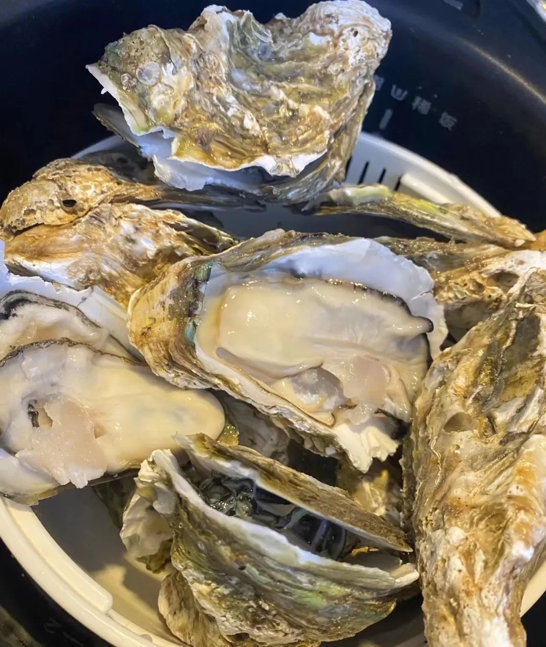 乳山生蚝烤到滋啦冒水就赶紧上