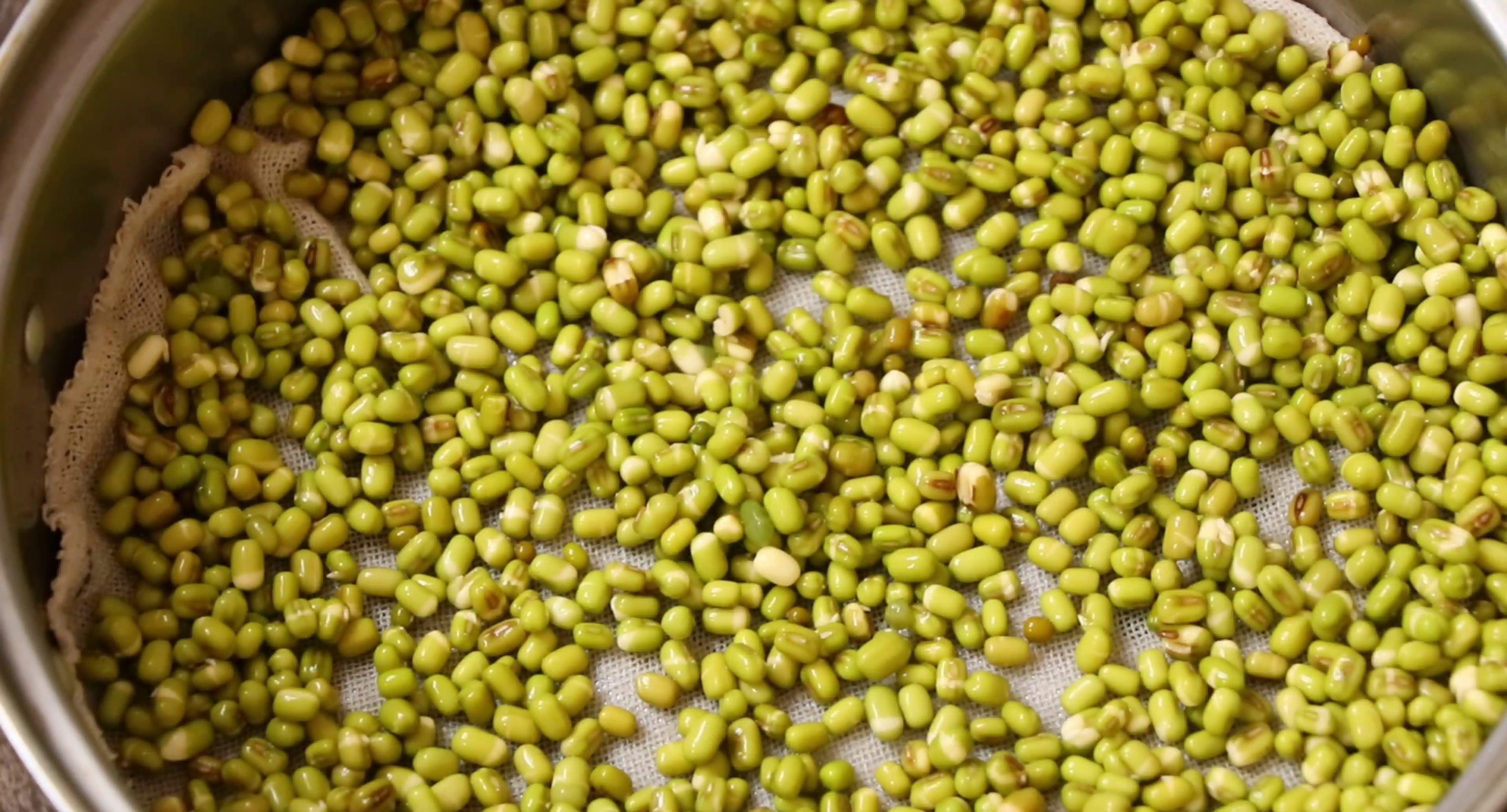 教你做青豆芽菜,做法简便可靠,一只蒸三日即可做好