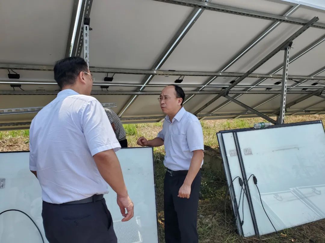 鲁宇清赴阳新县调研光伏扶贫工作