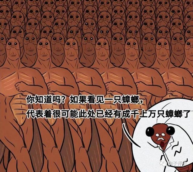 很多人不懂蟑螂的"天敌"是啥:教你个土招,蟑螂"消失"了