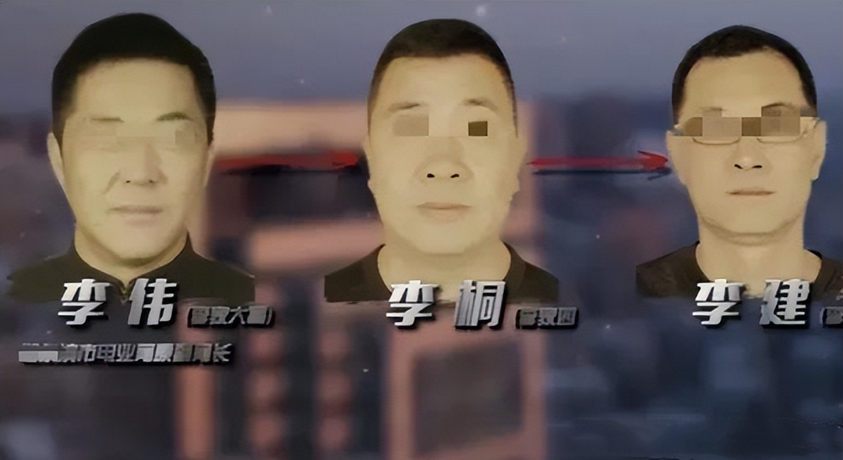 回顾"黑龙江高启强"李伟被捕,情绪失控供出保护伞,仍难改命运