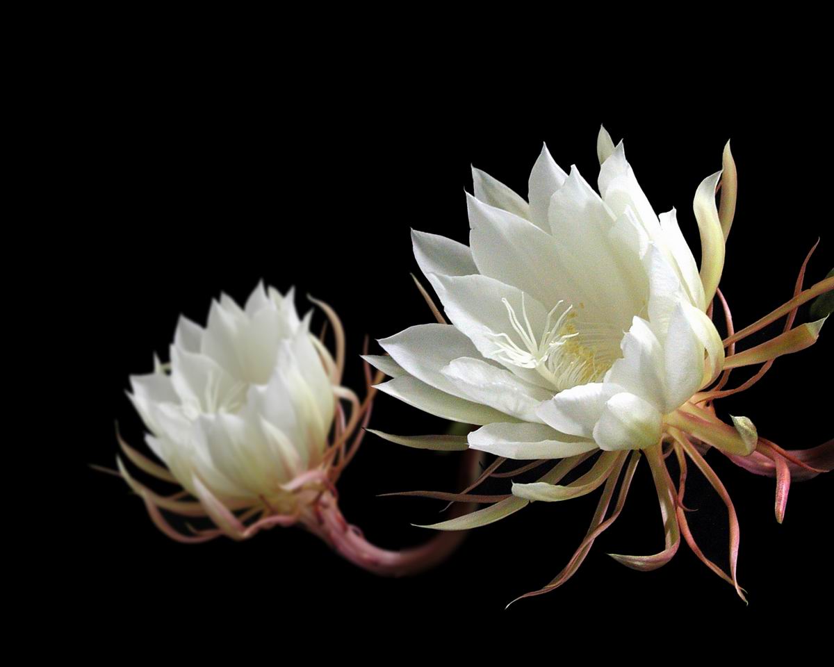 一个家庭最大的福气,不是金钱的多少,而是这四样无形的财富