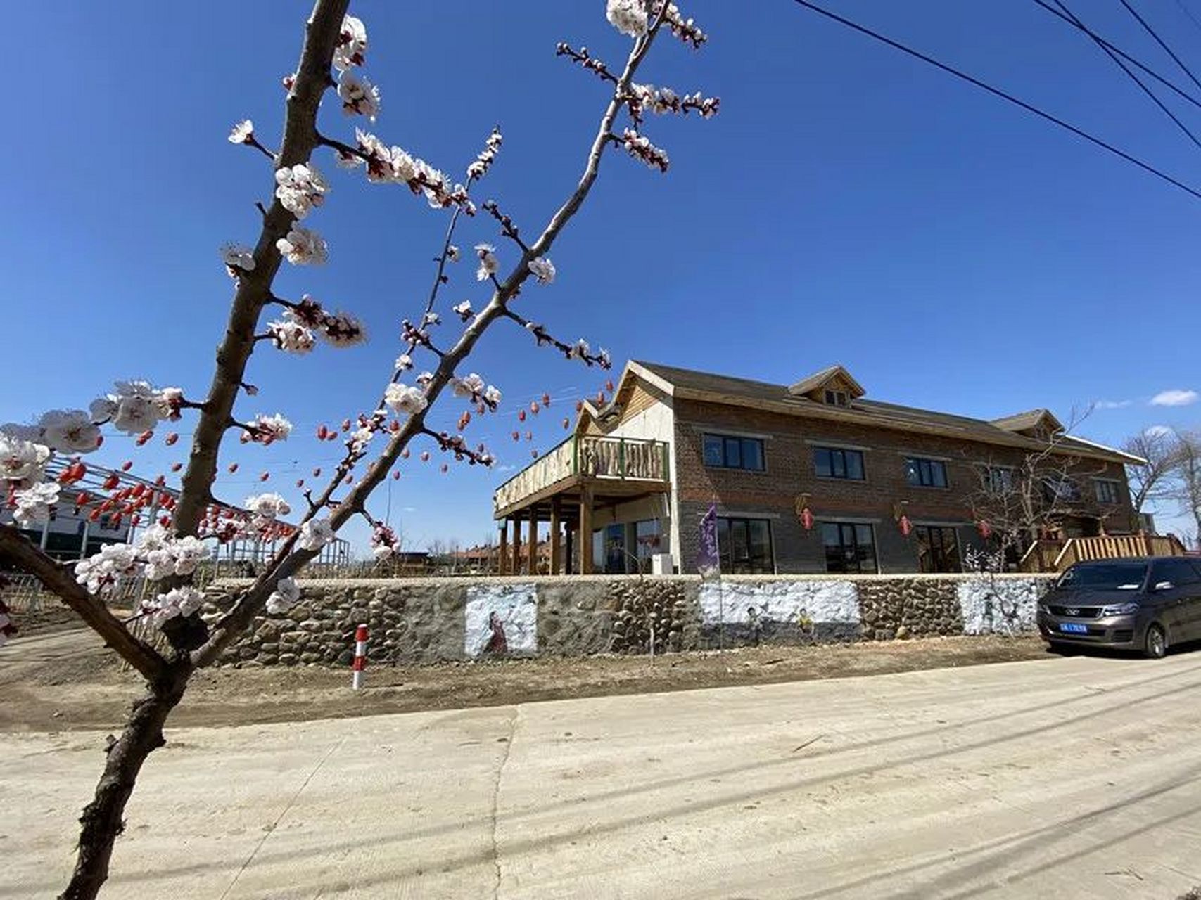 沈阳市沈北新区单家村:做对两件事 圆了一个梦#振兴新突破辽宁杠杠滴