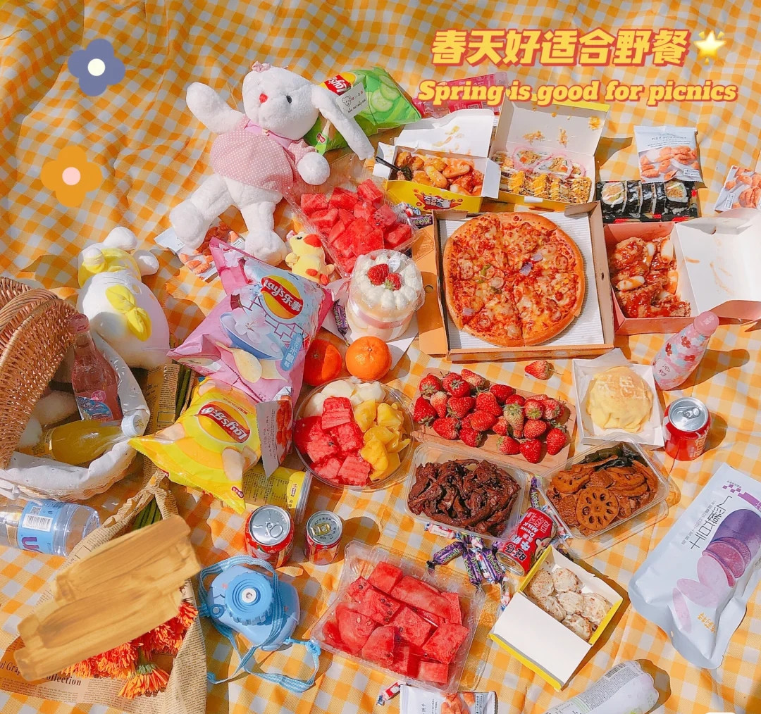 网友晒周末野餐一个比一个硬核仪式感满满网友能带上我吗