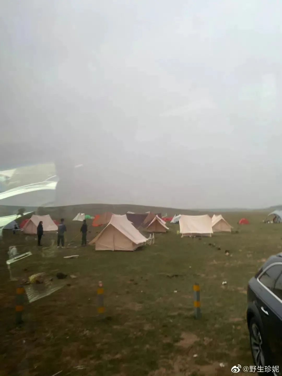 被全网骂惨的上海"郁金香事件",背后究竟有多离谱?