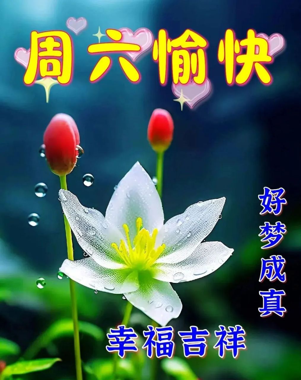 星期六早安暖心祝福图片带字带早上好语录,祝朋友们幸福吉祥!
