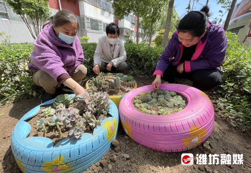 創意十足!廢舊輪胎巧變彩色花盆