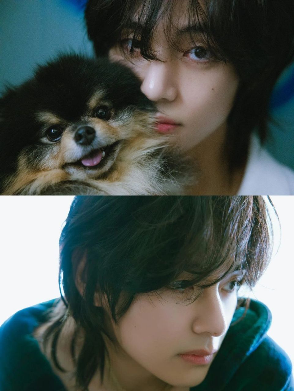 金南俊 金硕珍 闵玧其 郑号锡 朴智旻 金泰亨 田柾国 bts  !