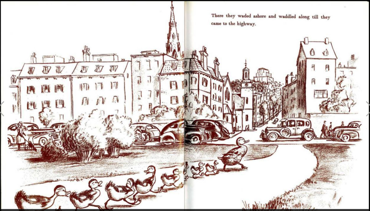 《让路给小鸭子》人与自然和谐共生,小朋友们热爱自然,尊重生命