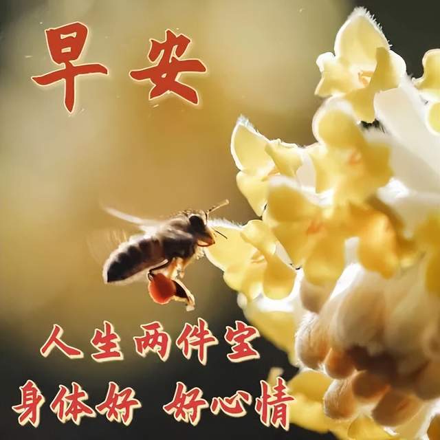 12月9日最新版优美的早上好短句,暖心早安祝福问候语,冬日安康