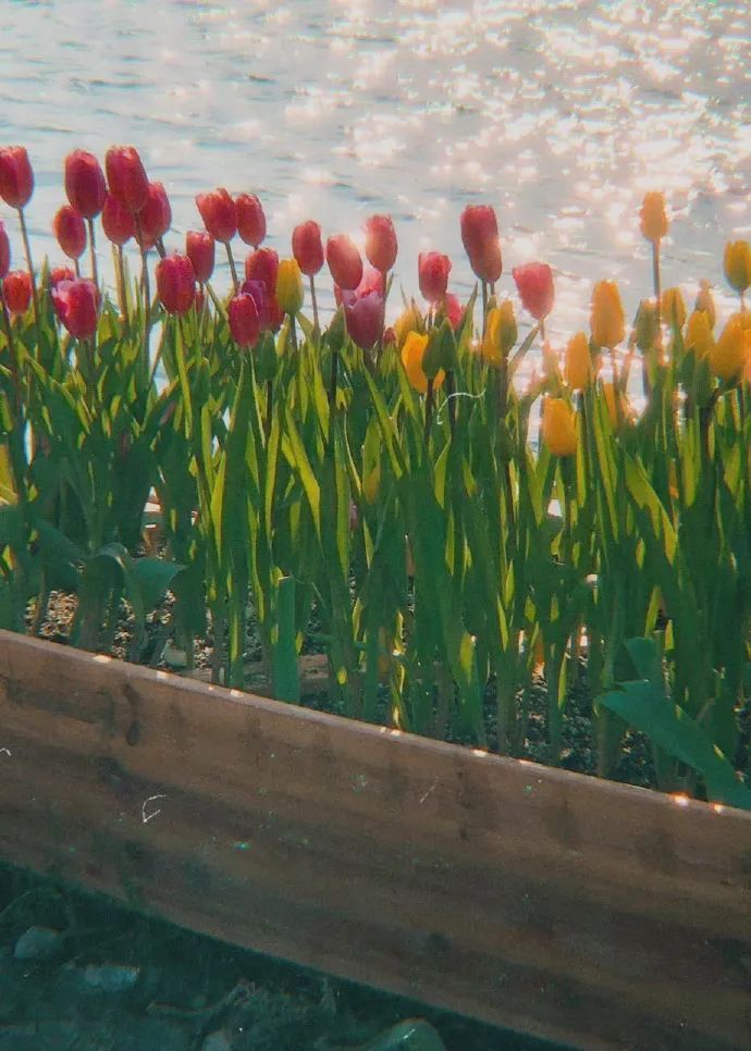 风景文字好看的朋友圈背景