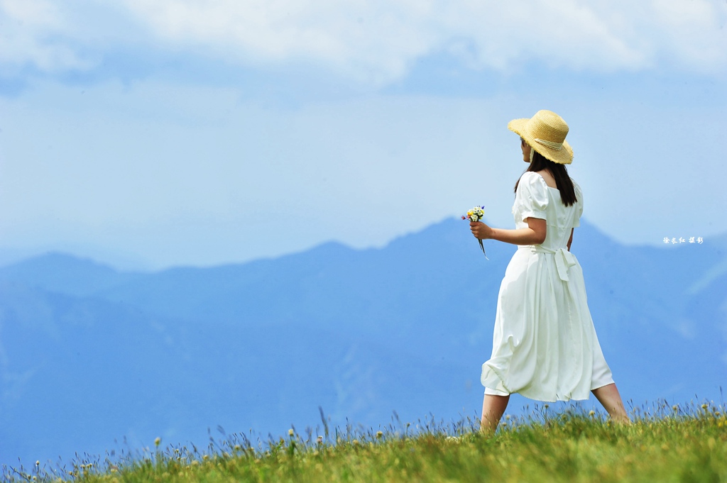新疆薰衣草,喀拉峻美人背,赛里木湖,巴音布鲁克,吐鲁番,沙漠